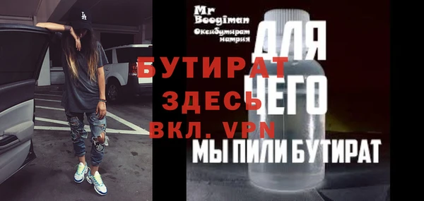 индика Няндома