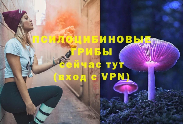 прущий лед Алексин