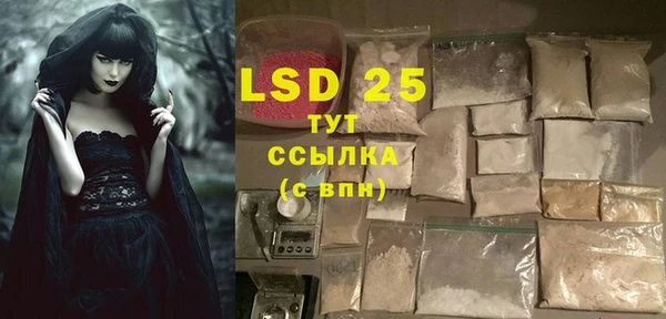 индика Няндома